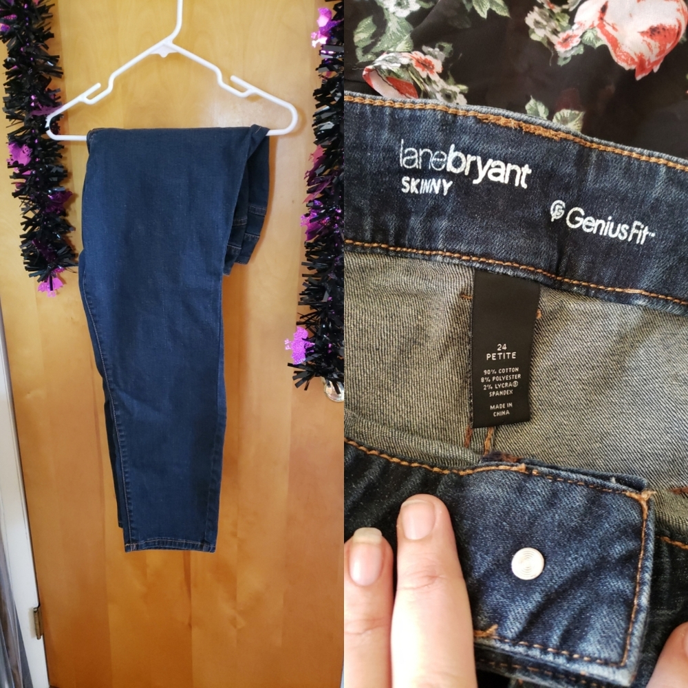 Euc Lane Bryant Skinny